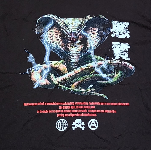 PACSUN OVERSIZED MEN'S T-SHIRT - DARK BROWN - RETRO COBRA DESIGN - SIZE L - Picture 2 of 4